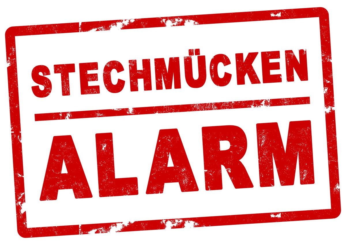 Stechmücken Ala