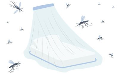 Moskitonetze fürs Schlafzimmer