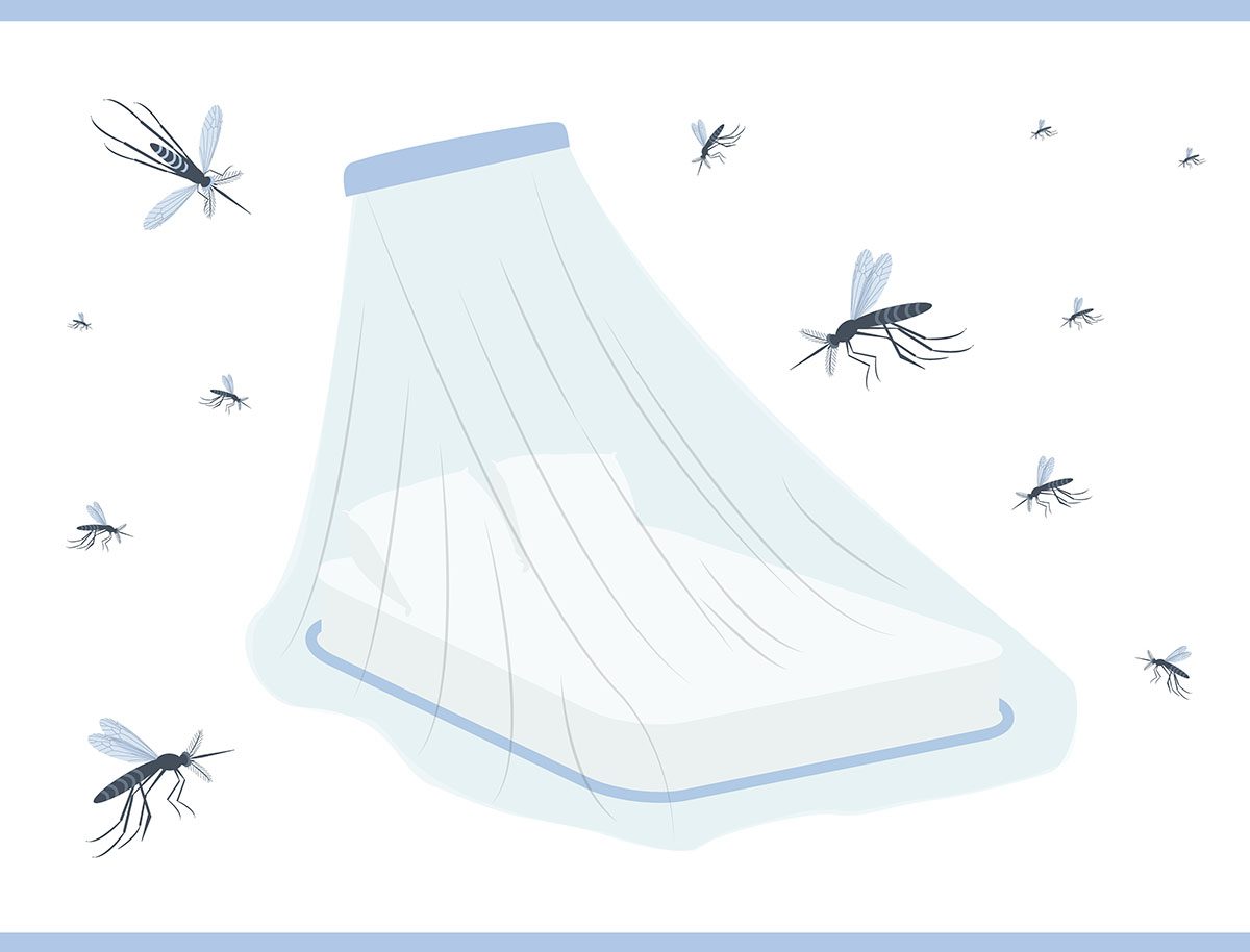 Moskitonetz fürs Bett. Zika-Virus-Prävention