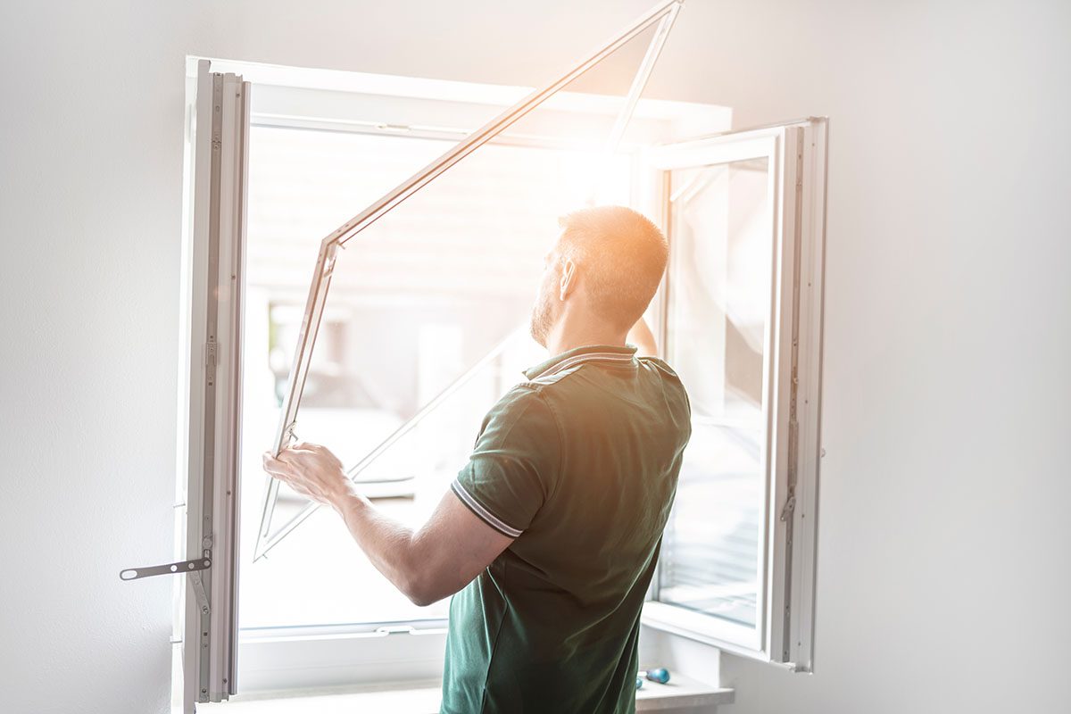 Insektenschutz für Fenster