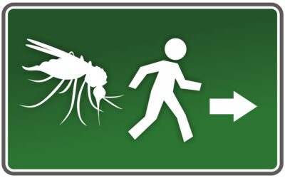 Was hilft gegen Mücken am besten