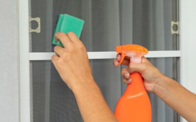 Reinigen Sie Ihre Fliegengitter mühelos mit diesen einfachen Tipps von ISP-Zürisee